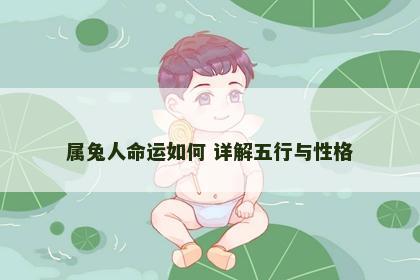 属兔人命运如何 详解五行与性格