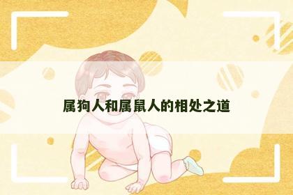 属狗人和属鼠人的相处之道