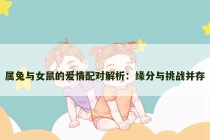 属兔与女鼠的爱情配对解析：缘分与挑战并存