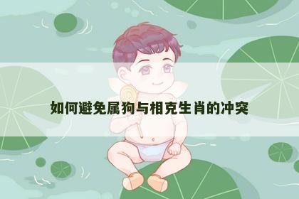 如何避免属狗与相克生肖的冲突