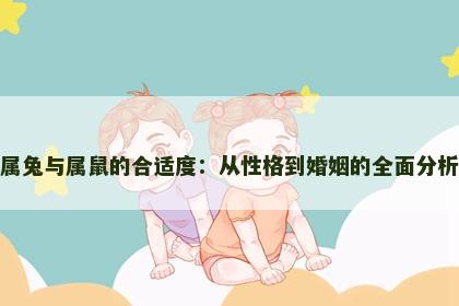 属兔与属鼠的合适度：从性格到婚姻的全面分析