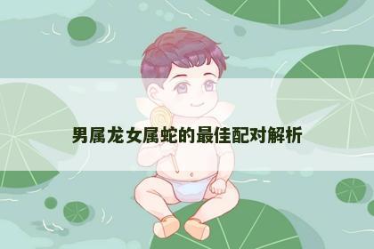 男属龙女属蛇的最佳配对解析