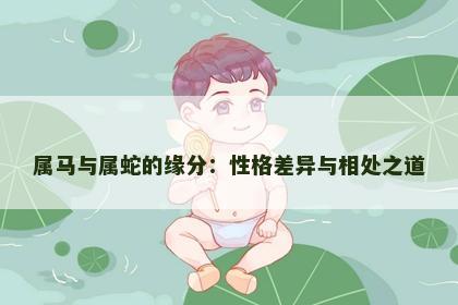 属马与属蛇的缘分：性格差异与相处之道
