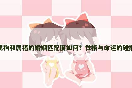 属狗和属猪的婚姻匹配度如何？性格与命运的碰撞