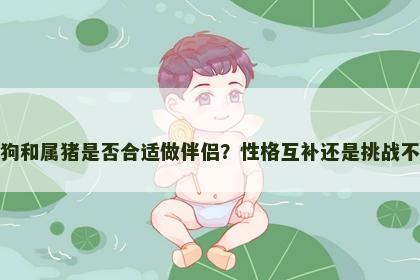 属狗和属猪是否合适做伴侣？性格互补还是挑战不断