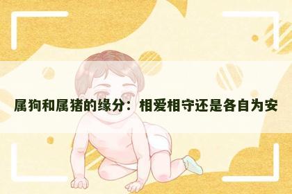属狗和属猪的缘分：相爱相守还是各自为安
