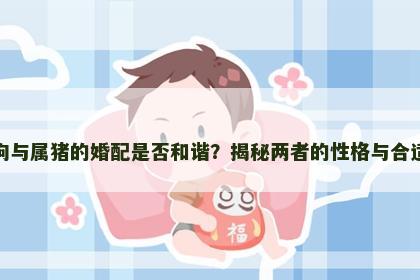 属狗与属猪的婚配是否和谐？揭秘两者的性格与合适度