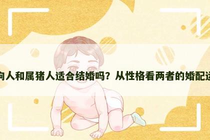 属狗人和属猪人适合结婚吗？从性格看两者的婚配运势