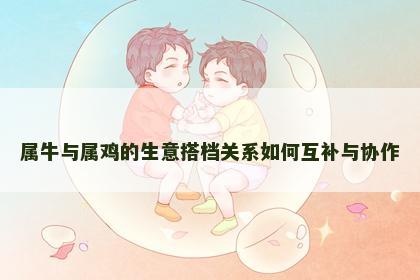属牛与属鸡的生意搭档关系如何互补与协作