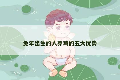 兔年出生的人养鸡的五大优势