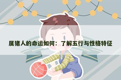 属猪人的命运如何：了解五行与性格特征