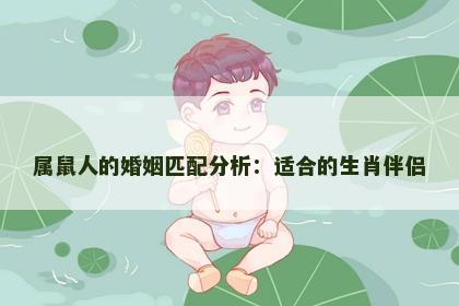 属鼠人的婚姻匹配分析：适合的生肖伴侣