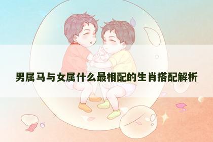 男属马与女属什么最相配的生肖搭配解析