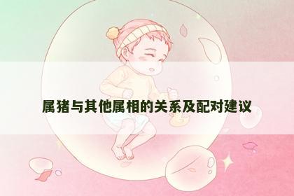 属猪与其他属相的关系及配对建议