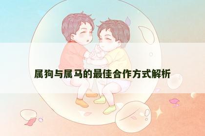 属狗与属马的最佳合作方式解析