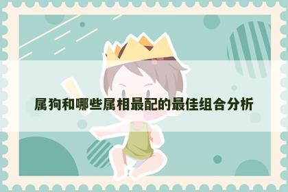 属狗和哪些属相最配的最佳组合分析
