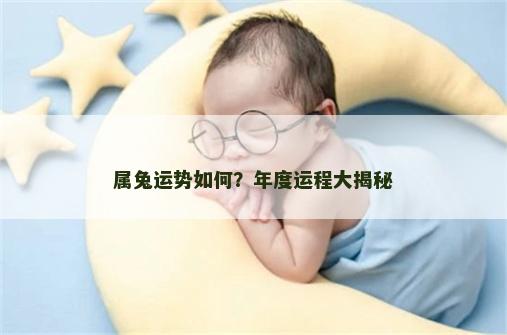 属兔运势如何？年度运程大揭秘