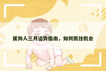 属狗人三月运势指南，如何抓住机会