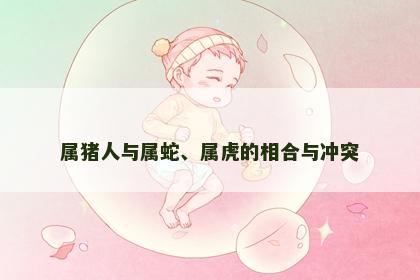 属猪人与属蛇、属虎的相合与冲突