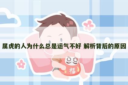 属虎的人为什么总是运气不好 解析背后的原因