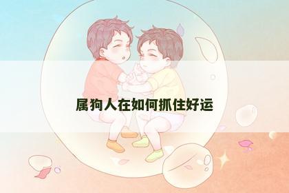 属狗人在如何抓住好运