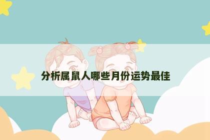 分析属鼠人哪些月份运势最佳