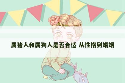 属猪人和属狗人是否合适 从性格到婚姻