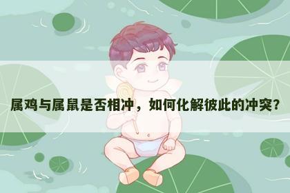 属鸡与属鼠是否相冲，如何化解彼此的冲突？