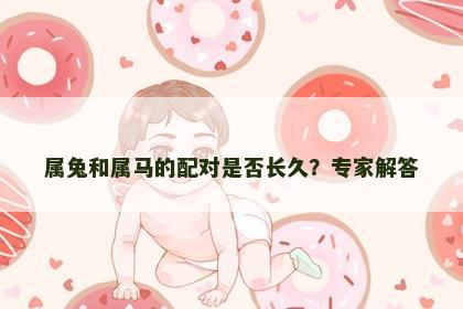 属兔和属马的配对是否长久？专家解答