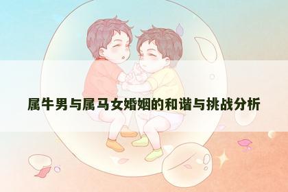属牛男与属马女婚姻的和谐与挑战分析
