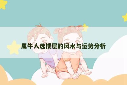 属牛人选楼层的风水与运势分析