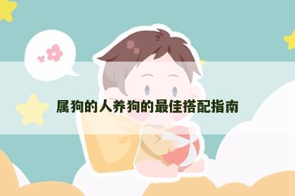 属狗的人养狗的最佳搭配指南