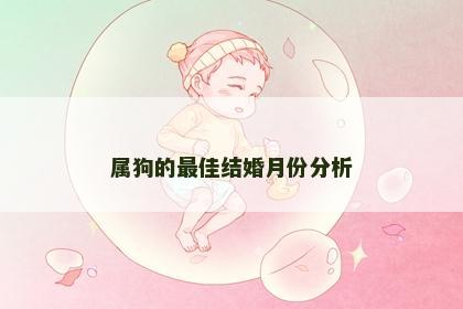 属狗的最佳结婚月份分析