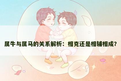 属牛与属马的关系解析：相克还是相辅相成？
