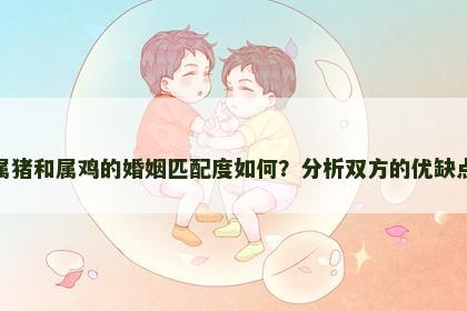 属猪和属鸡的婚姻匹配度如何？分析双方的优缺点