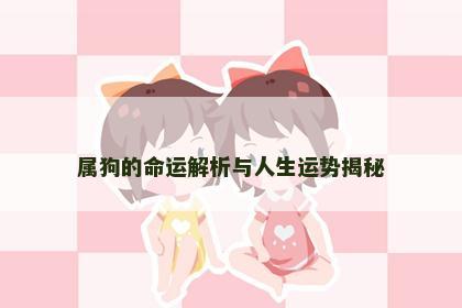 属狗的命运解析与人生运势揭秘