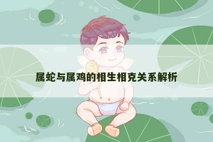 属蛇与属鸡的相生相克关系解析