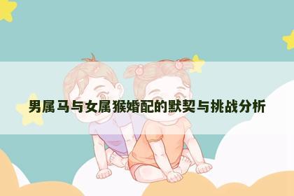 男属马与女属猴婚配的默契与挑战分析