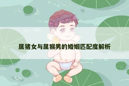 属猪女与属猴男的婚姻匹配度解析