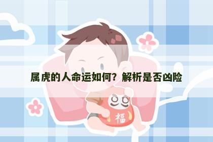 属虎的人命运如何？解析是否凶险