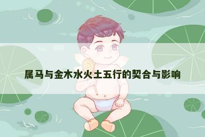 属马与金木水火土五行的契合与影响