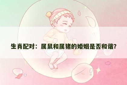 生肖配对：属鼠和属猪的婚姻是否和谐？