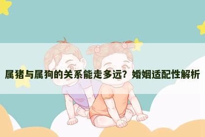 属猪与属狗的关系能走多远？婚姻适配性解析