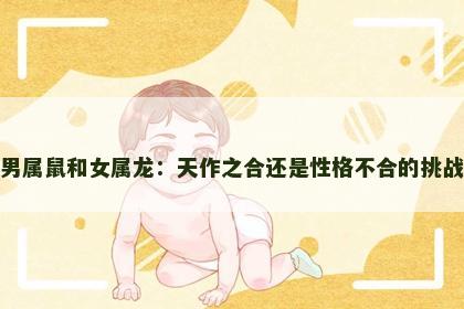 男属鼠和女属龙：天作之合还是性格不合的挑战