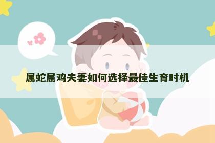属蛇属鸡夫妻如何选择最佳生育时机