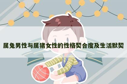 属兔男性与属猪女性的性格契合度及生活默契