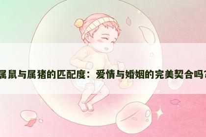 属鼠与属猪的匹配度：爱情与婚姻的完美契合吗？