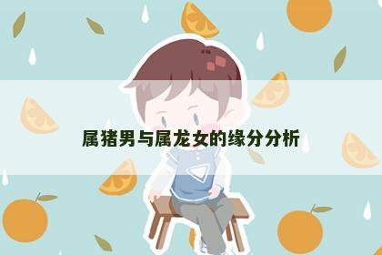属猪男与属龙女的缘分分析