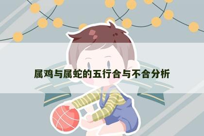 属鸡与属蛇的五行合与不合分析
