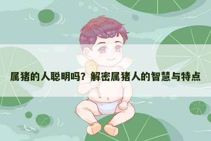 属猪的人聪明吗？解密属猪人的智慧与特点